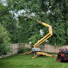 Best Tree Planting Services  in Gate City, VA